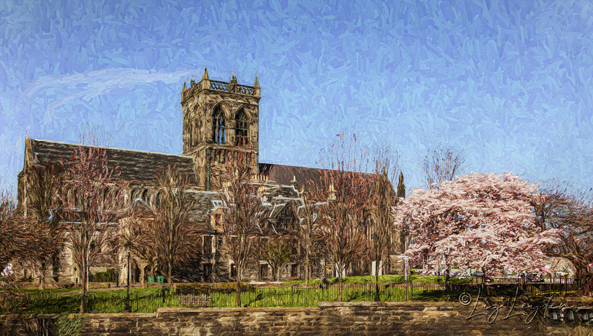 Paisley Abbey with a cherry blossom tree