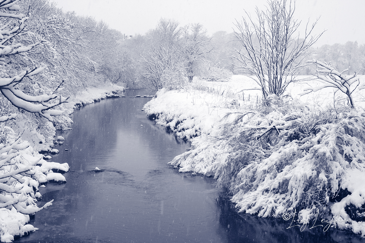 River in winter, toned image.