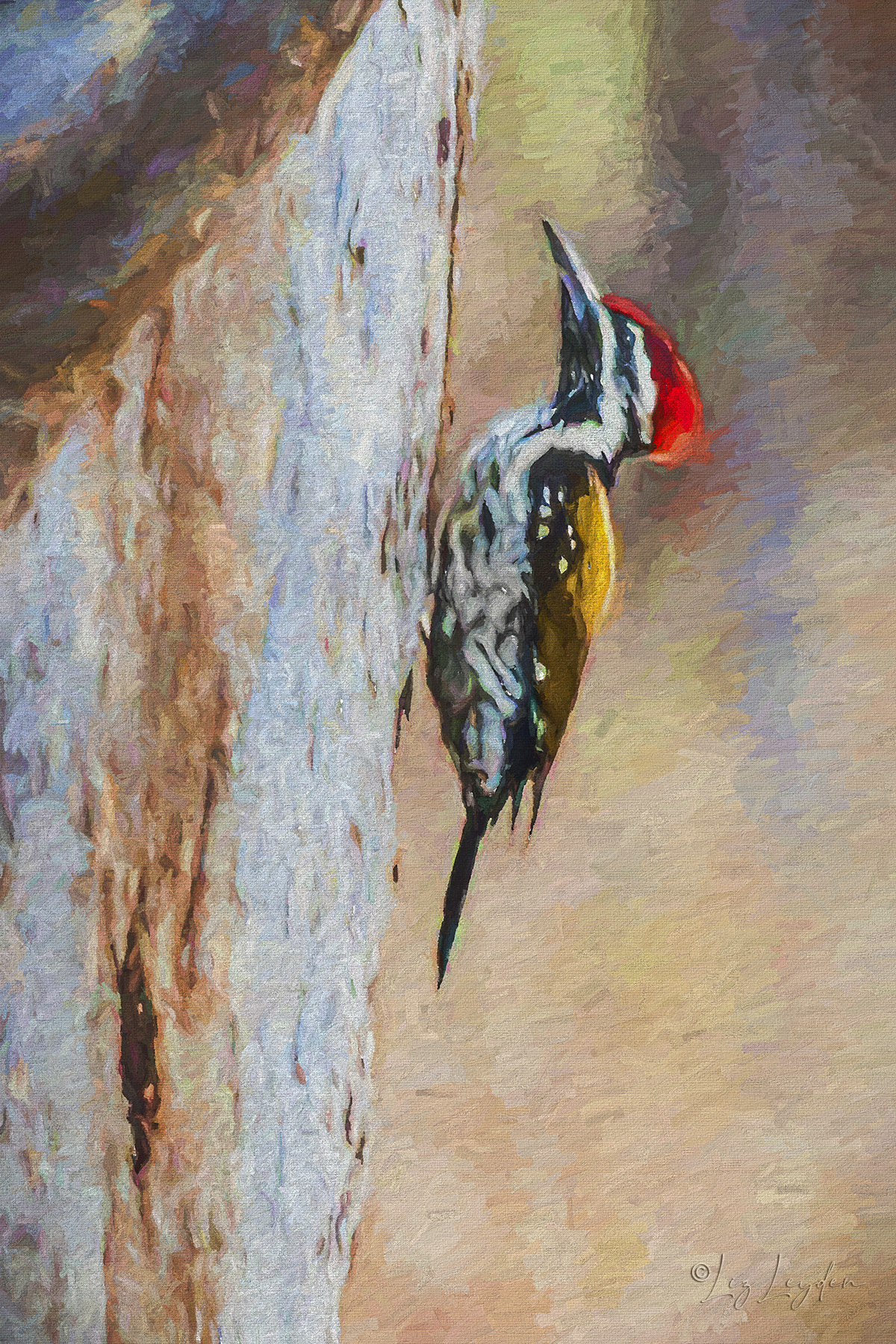 Flameback