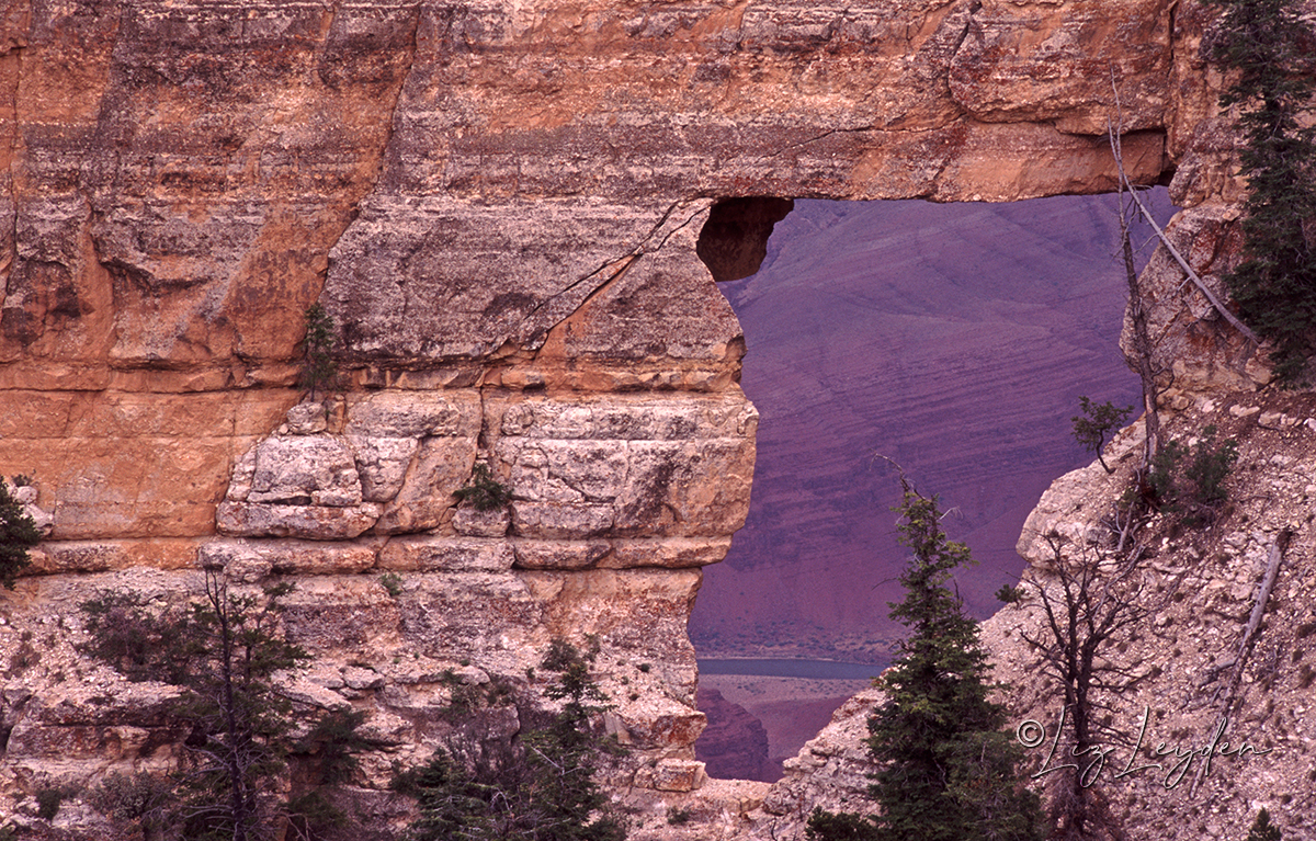 Angels Window, a natural arch at North Rim, Grand Canyon, USA